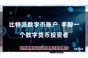 比特派数字币账户  手脚一个数字货币投资者
